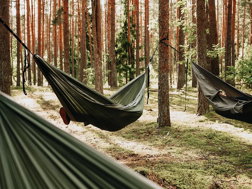 Hamacas colgadas entre árboles en un bosque tranquilo, ideales para relajarse al aire libre.